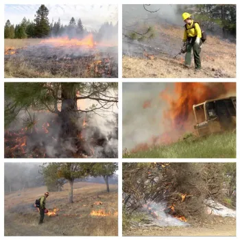 fireman fighting fires