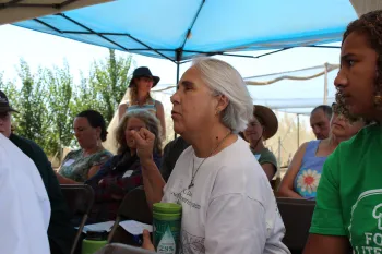 Betsy Weiland, Elderberry Farms native Plant Nursery, American River Ranch