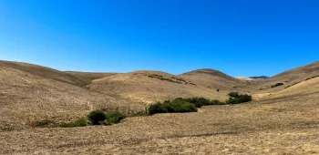 20241017 Fall 2024 Meeting