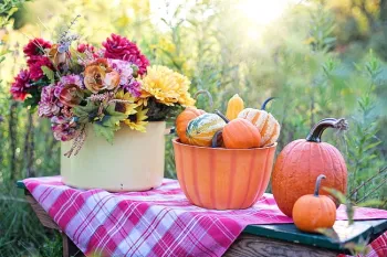 Harvest fall foliage and vegetables to make an autumn centerpiece. (Photo: PickPic)