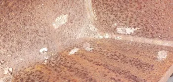 Figure 2. Spotted lanternfly egg masses discovered on metal beams of an art structure. Photo credit: Sonoma County Dept of Agriculture/W&M