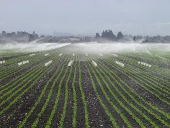 Evaluating the uniformity of an irrigation system can determine if water is being applied efficiently