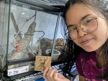 Bohart Museum of Entomology student intern Jasmine Chow holds a spider pin from the museum's gift shop.