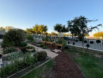 garden at Children Hosp