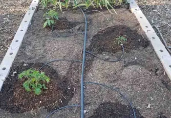 Learn to install & maintain a drip irrigation system in the Master Gardener workshop on February 21. Jeanette Alosi