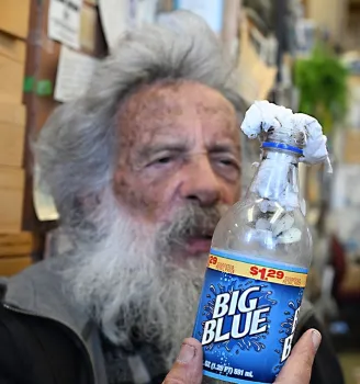 UC Davis distinguished professor emeritus Art Shapiro peers at the cabbage white butterfly inside a Big Blue soda bottle. (Photo by Kathy Keatley Garvey)