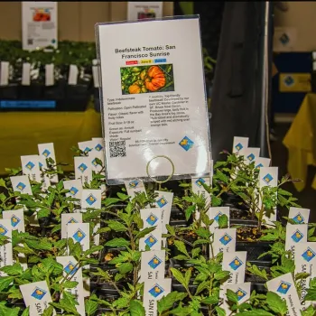 Photo by Bruce Goren