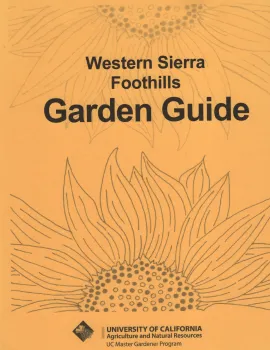 GG Cover Art Updated 2024