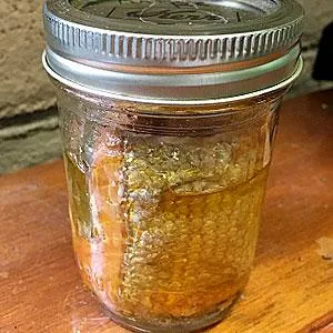 Pint jar of salmon with skin on. 