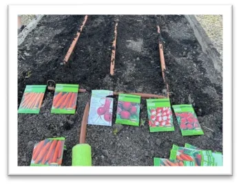 Seeds getting ready to be planted in the beds. Irrigation ready on the beds.