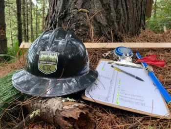The Forestry and Natural Resources program at College of the Redwoods offers 