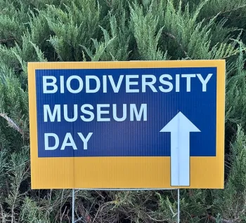 This way to the UC Davis Biodiversity Museum Day. (Photo by Walter Leal)