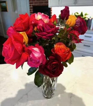 Rose bouquet, Walt Cooley.