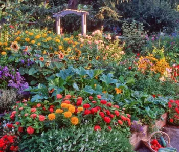 A colorful garden