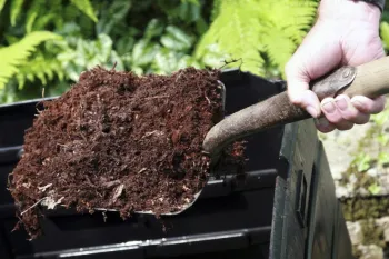 Compost enriches garden soil