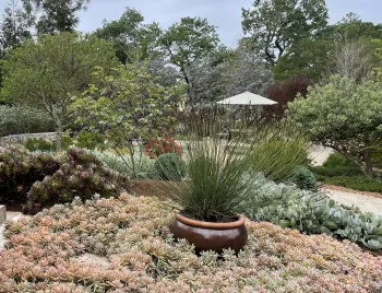 Expert Garden Practices Information for Sonoma County Home Gardeners