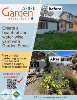Garden Sense program Sonoma County reduces water in the landscape