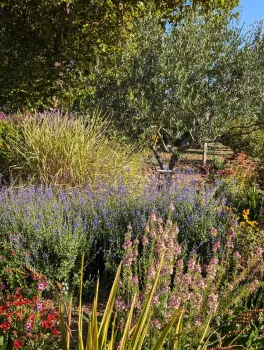 How to create a sustainable home garden