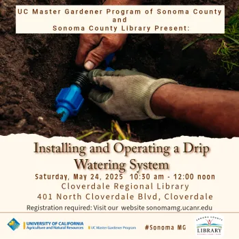 Installing an operating a drip watering system for your home garden