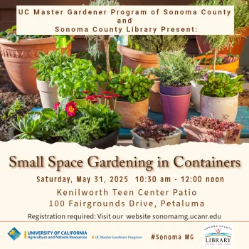Small space container gardening talk