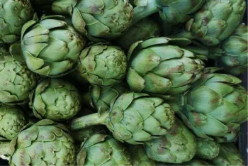 artichoke
