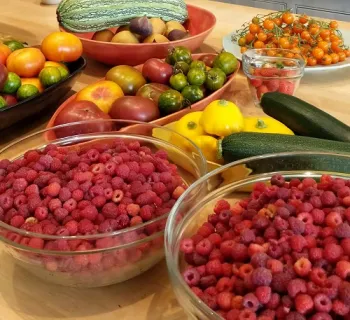 Home Food gardening in Sonoma County Year Round