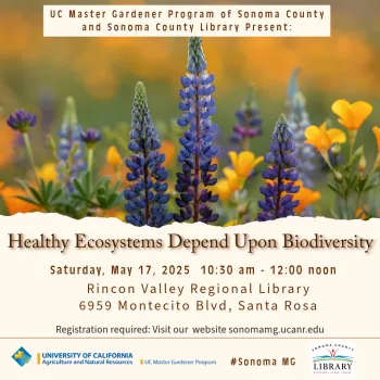 Ecosystem biodiversity in the garden