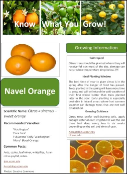 Sample Fact Sheet Image