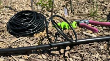 Plastic tubbing of drip irrigation system