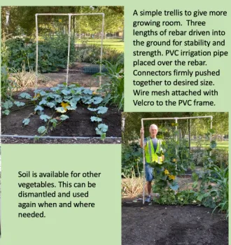 irrigation pipe used as a mobile trellis for the garden