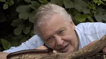 Sir David Attenborough
