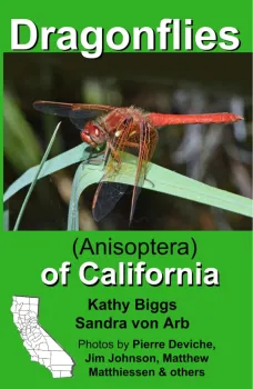 Cover of dragonfly book.