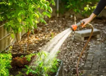 Hand watering your garden versus drip irrigation