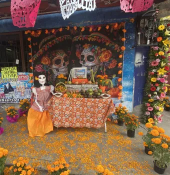 Photo of a Day of the Dead alter surrounded by marigolds.