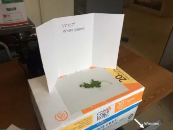 A box with a sheet of white paper acting as a reflector with a plant part in front