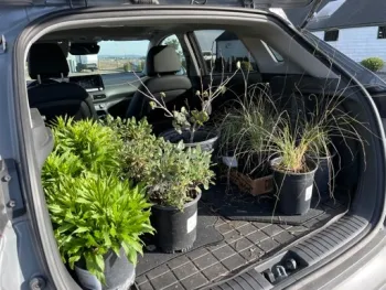 Plant shopping for SebArts Demo Garden