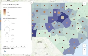 Mental Health Providers and income