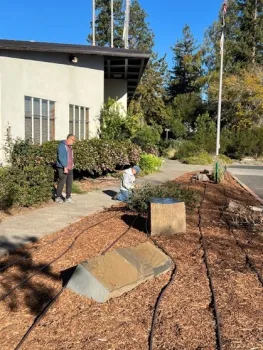 place drip irritation on top of sheet mulch