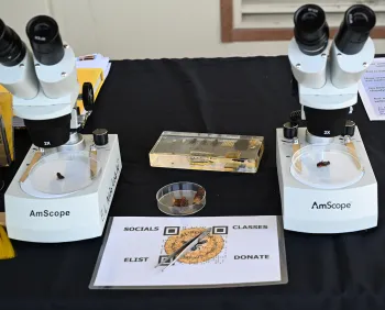 CAMBP microscopes set up at the mini-festival at the hive. (Photo by Kathy Keatley Garvey)