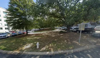 Parking lot with 2 rows of trees.