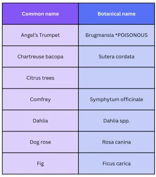 non native plant table with common and botanical names