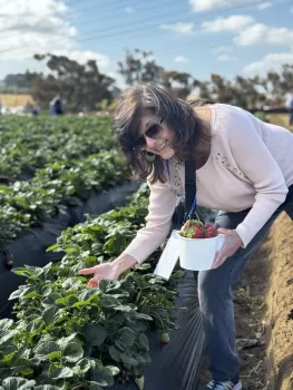 A lady picking up strawberries