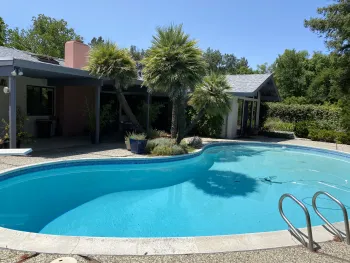 "After" photo of palms by the pool.