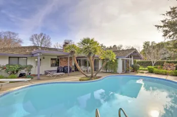 "Before" photo of palms by pool