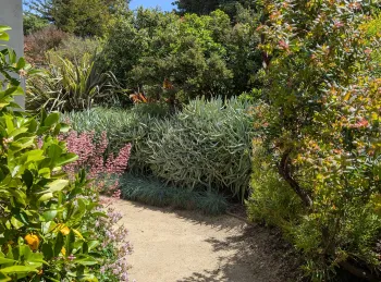 Right plant right place webinar Santa Rosa