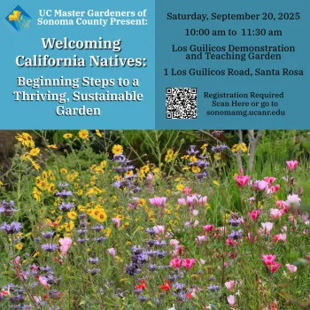 Learn how to garden using California native plants