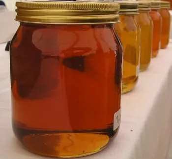 Six jars of amber honey lined up with gold lids. 