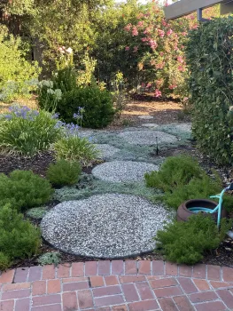 Photo of back yard pavers, ground cover and other plants.