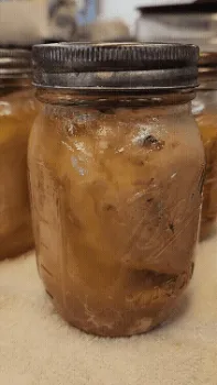 Pressure-canned chicken boiling on counter after being removed from canner.