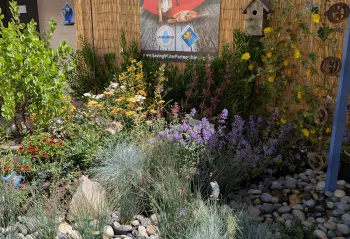 learn how to make a rain garden